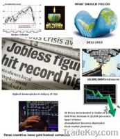 Sell 600 page document Globale Economic Meltdown 2012