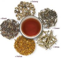 LARGE RANGE OF SPECIALITY TEA