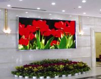 Sell P7.62 Indoor Full Color LED Display