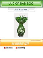 Sell Lucky Vase Lucky Bamboo