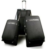 luggage/trolley luggage