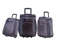 luggage/leisurable luggage set