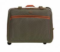 Suitcase/ luggage