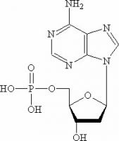 Sell deoxyadenosine monophosphate