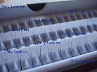 Sell Y Lashes C-curl 0.15mm x9, 11, 13mm