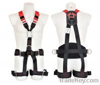 Sell Safety Harness (DHQS101)