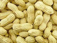 Sell Raw Peanut in Shell