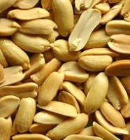Sell Roasted Blanched Peanut Half