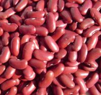 Sell England red kidney beans