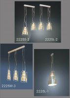 Sell pendant lighting(ml2225)