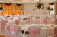 Sell chair cover with pink sash