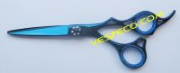 Blue Titanium Coated Scissor