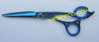 Blue scissor
