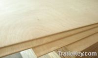 Sell China Commercial Plywoods