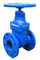 BS5163 Resilient seated gate valves