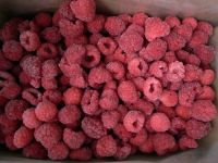 Sell Frozen Raspberry