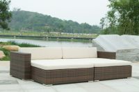 Rattan Furniture - Sofa (SC-B9503)