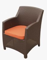 Garden Armchair (SC-B1078-1)