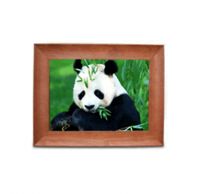 Sell wooden photo frame