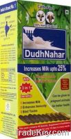 DudhNahar Herbal cattlefeed biscuit for cow & buffalo to increase milk