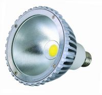 High Power LED Spotlight PAR38 15W 800 lm