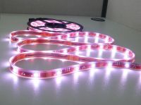 Sell RGB IP67 waterproof LED strip ribbon