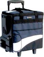 cooler Bag/Mini cooler/Car refrigerator/Cooling bag/electronic cooler