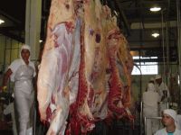 Sell beef meat from Brazil, halal too