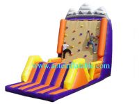 Sell Inflatable Climbing FR-017