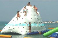 Sell Inflatablel float WS-001