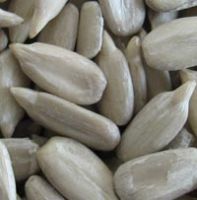 Sunflower seed kernels