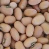 White Kidney Beans