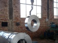 Sell stainless steel strip (201/202/304/430/410/409)