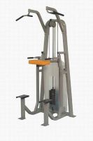 Sell Fitness Equipment Assisted Chin Up/Dip SW18