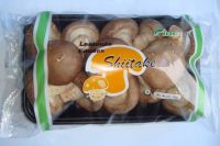 Sell Lentinula Edodes(Shiitake)