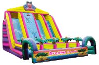 Sell inflatable slide (006)