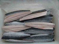 fresh frozen spanish mackerel fillet king mackerel