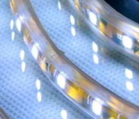 Sell LED Light LED Strip Lamp, LED Flexible Strip Light
