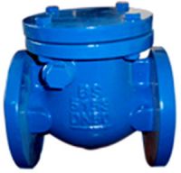 CAST IRON OR DUCTILE IRON  SWING CHECK VALVE