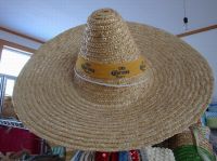 Sell straw hats, Mexico hats, raffia and wheat straw hats