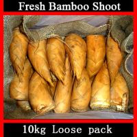 Sell Bamboo Shoot