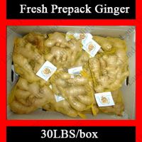 Sell Fresh Ginger (Prepacked)