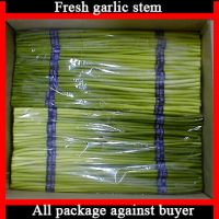 Sell Garlic Stems
