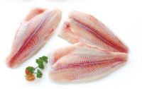 Sell : Pangasius/Catfish Fillet Untrimmed