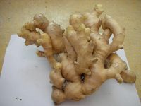 Sell Ginger, Turmeric, Chili, Star Aniseed with competitive price
