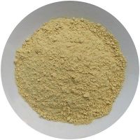 Sell Fresh Ginger, Dried Ginger, Ginger Powder with attractive price