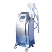 two handles freeze fat cells slimming equpment, cryolipolysis