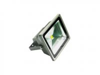 LED Floodlight 50W