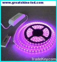 Sell AC110V/240V rgb 60led SMD 5050 led strip light