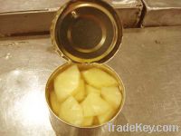 Sell Canned Pinepple Broken Slices in Light Syrup 20 oz.